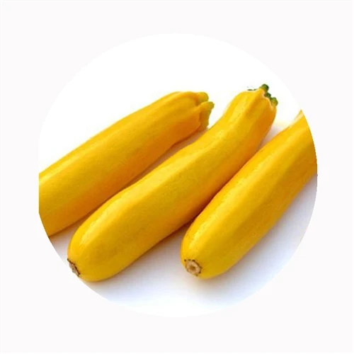 Pa mor hir mae Zucchini yn para yn yr oergell?