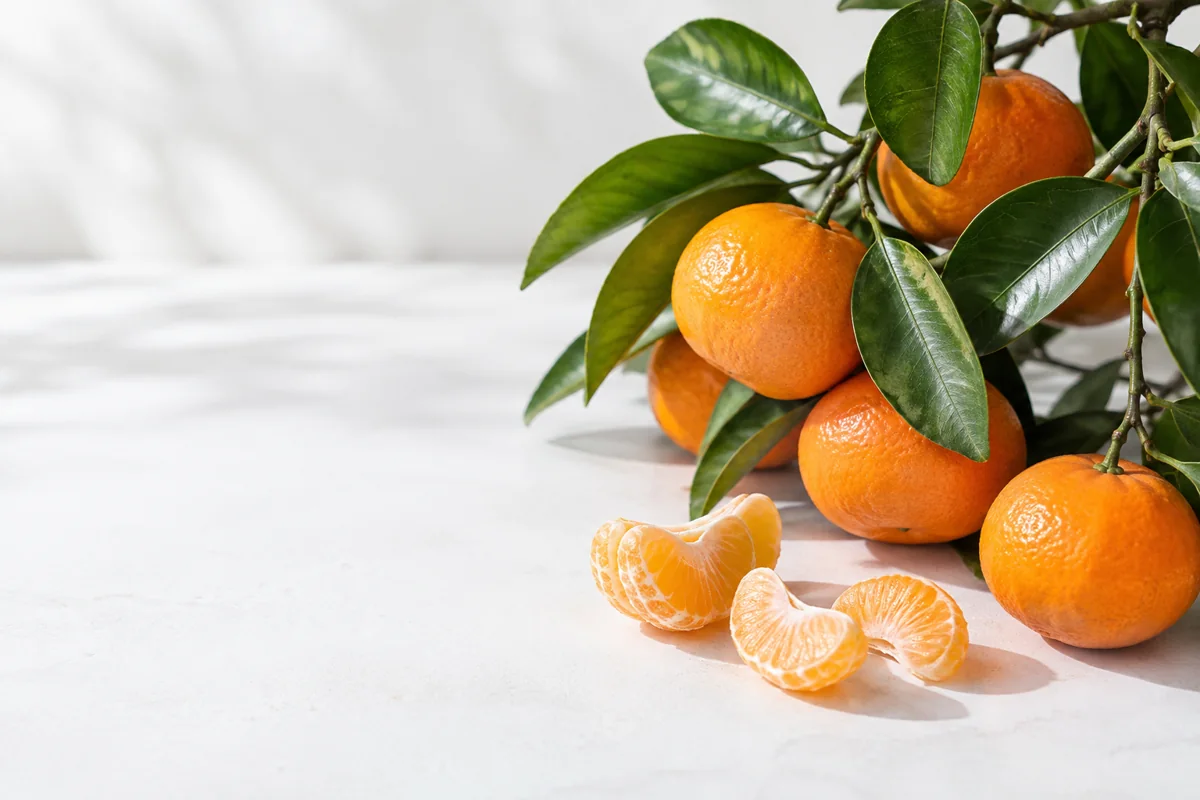 Mandarins on branch with peeled segments